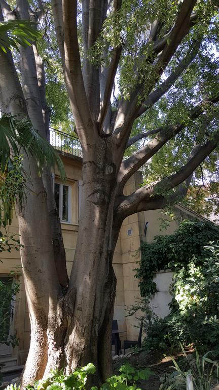 Hotel Le Calendal Arles